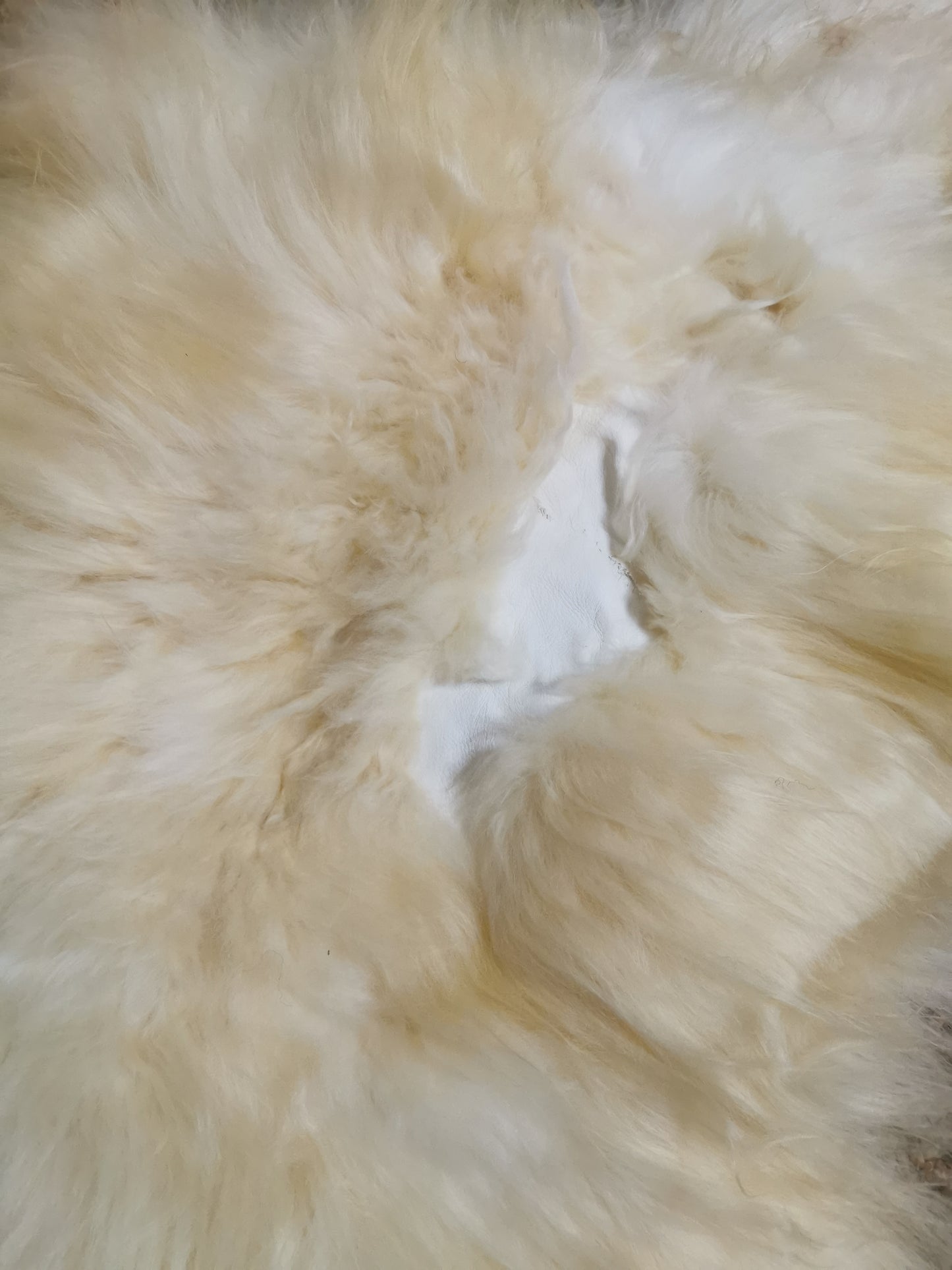Echtes XXL Lammfell Schaffell Lang Weiches Haar Deko 110-130cm Naturweiss 2.Wahl