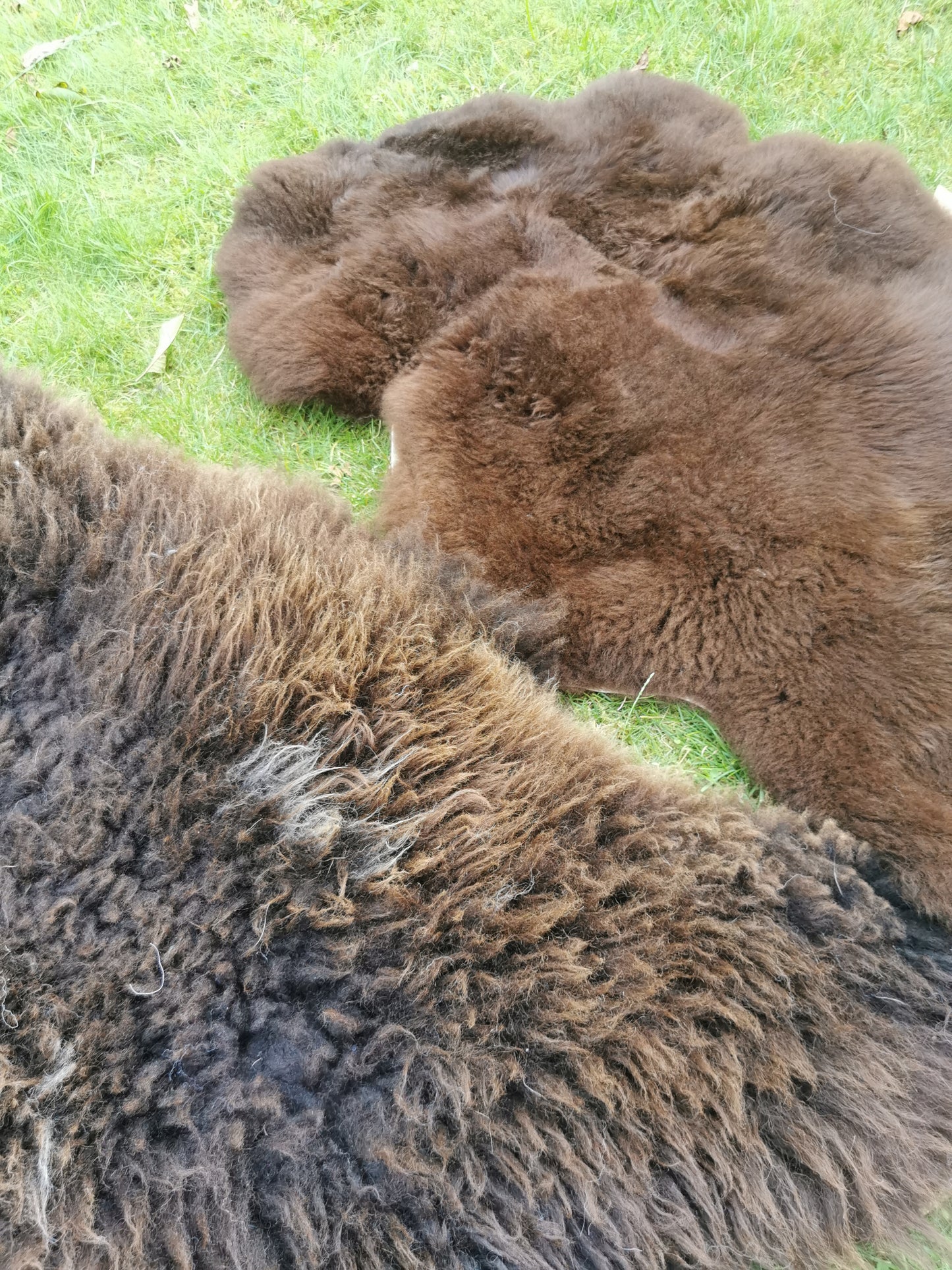 Brown L-XXL Sheepskins, Genuine Organic B Fur, Natural 1st &amp; 2nd Choice, Lambskin, Special Offer