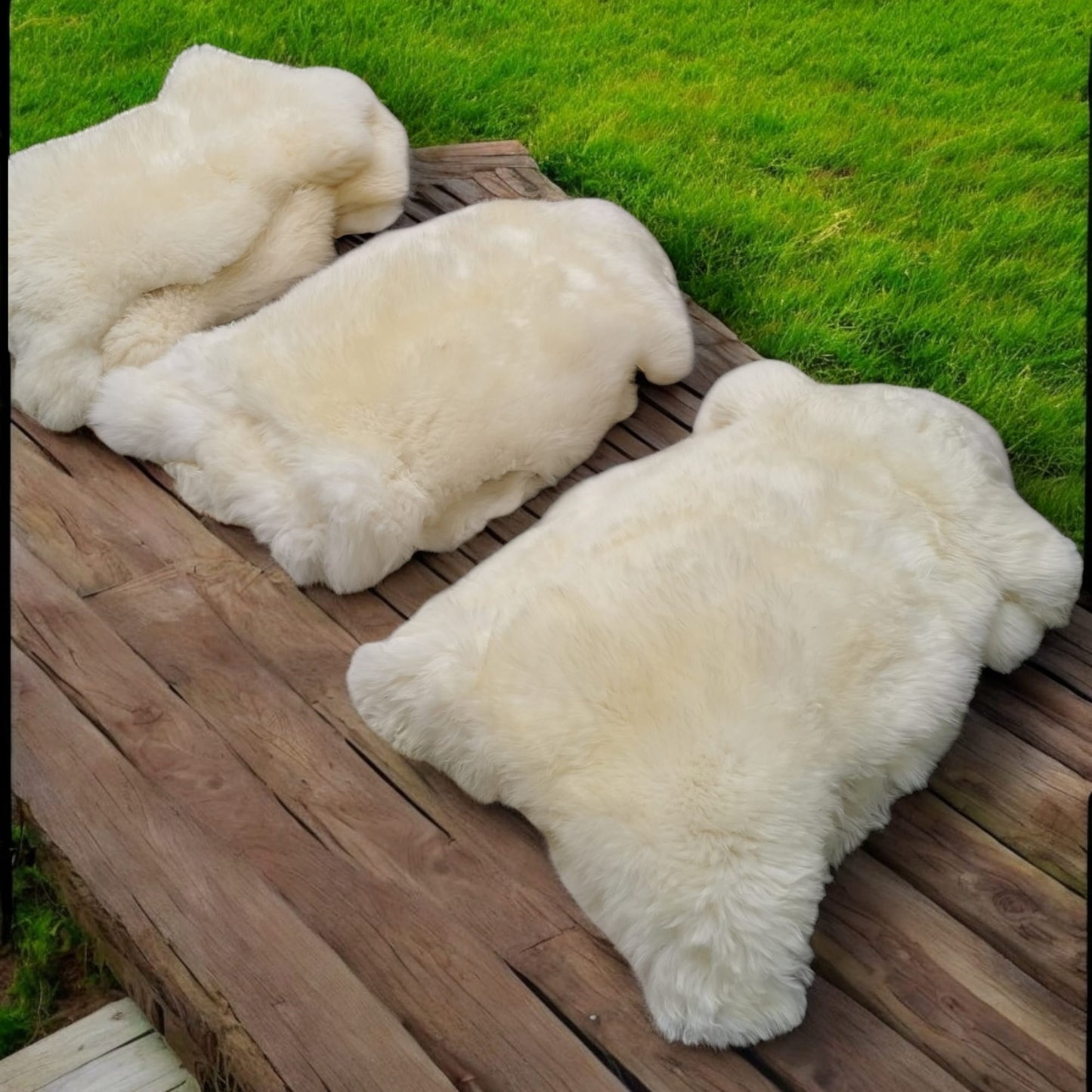 TOP Schaffell | 100cm | Echtes Lammfell |Teppich Deko | Natur-Weiß | Sitzauflage