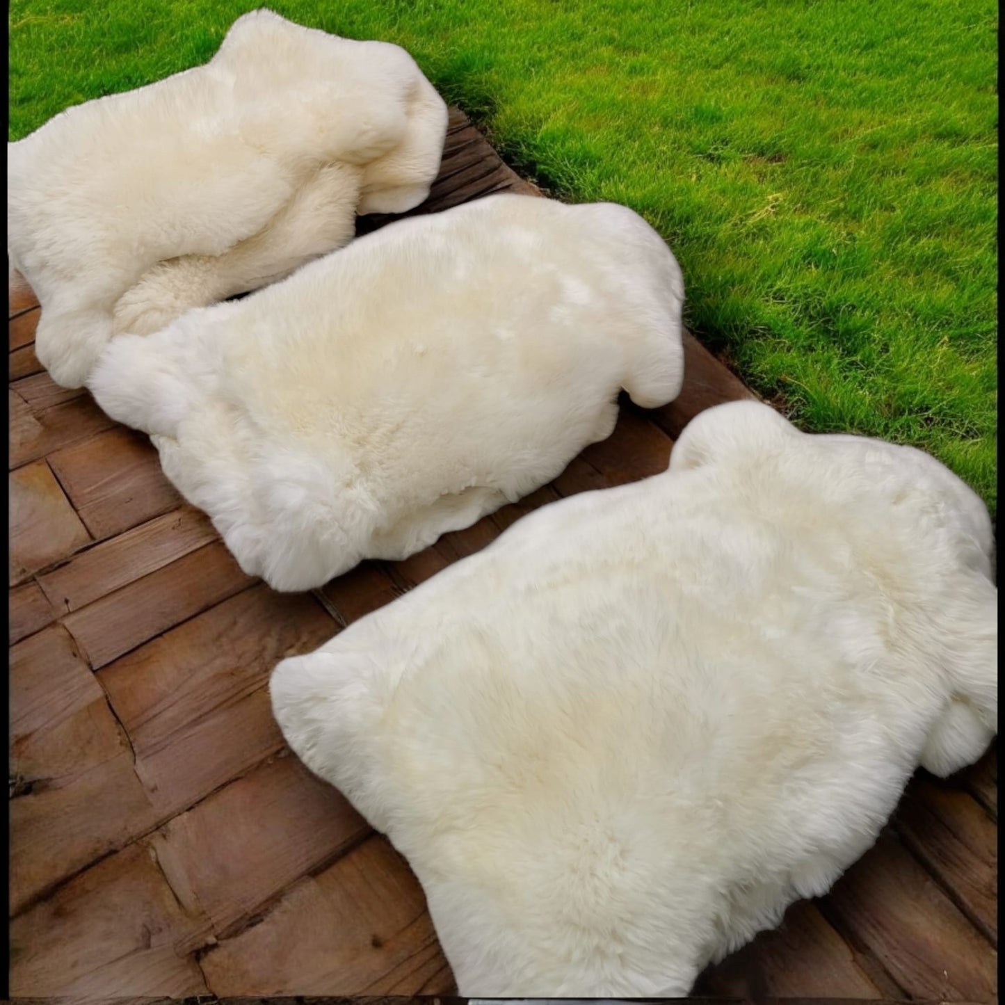 TOP Schaffell | 100cm | Echtes Lammfell |Teppich Deko | Natur-Weiß | Sitzauflage