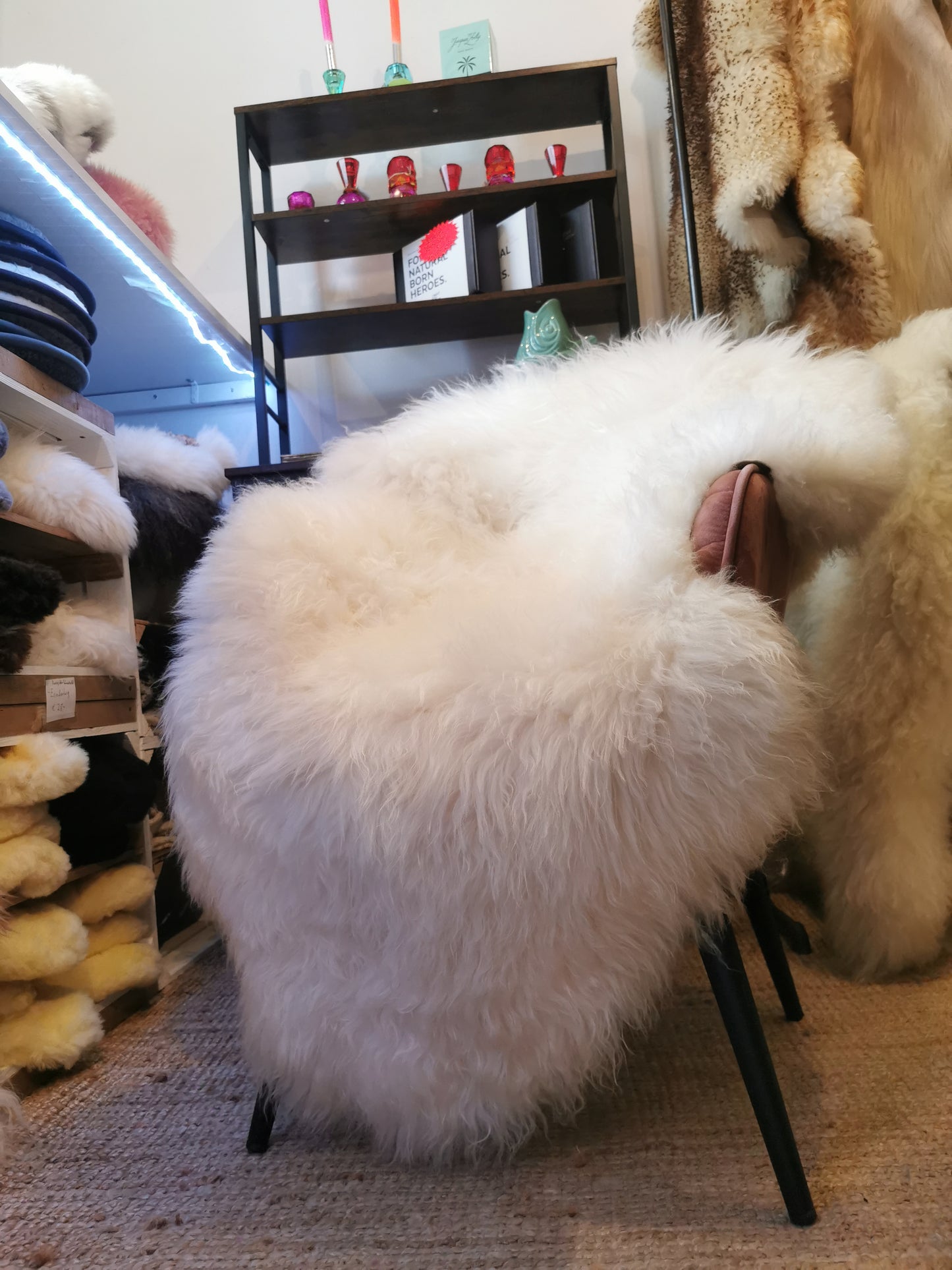 140cm - 155cm White Giant Sheepskin, XXXL Fur Rug, First Choice, Ecological