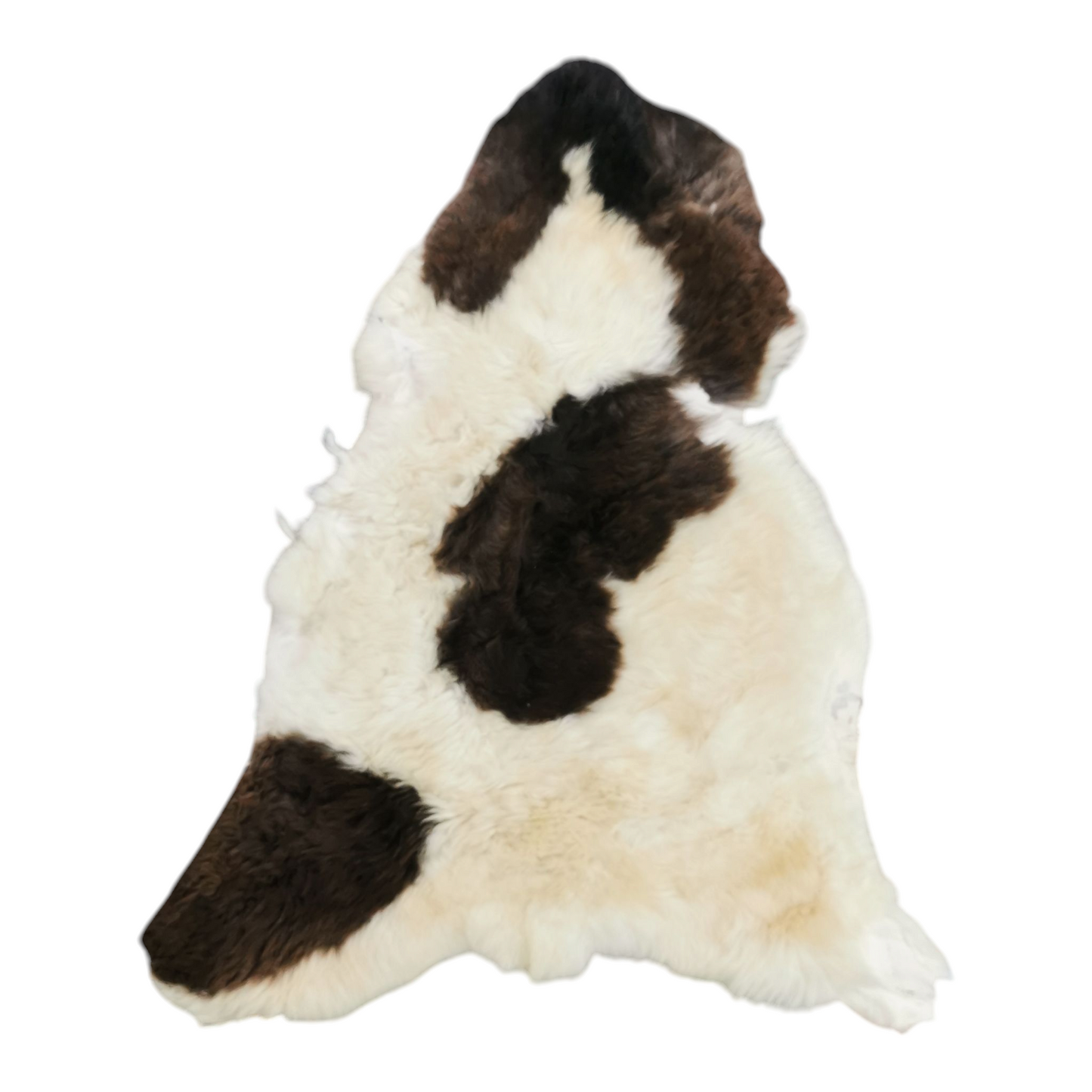 TOP Schaffell | 140cm | Echtes Lammfell |Teppich Deko | Gefleckt | Jacob | Sitzauflage | XXL