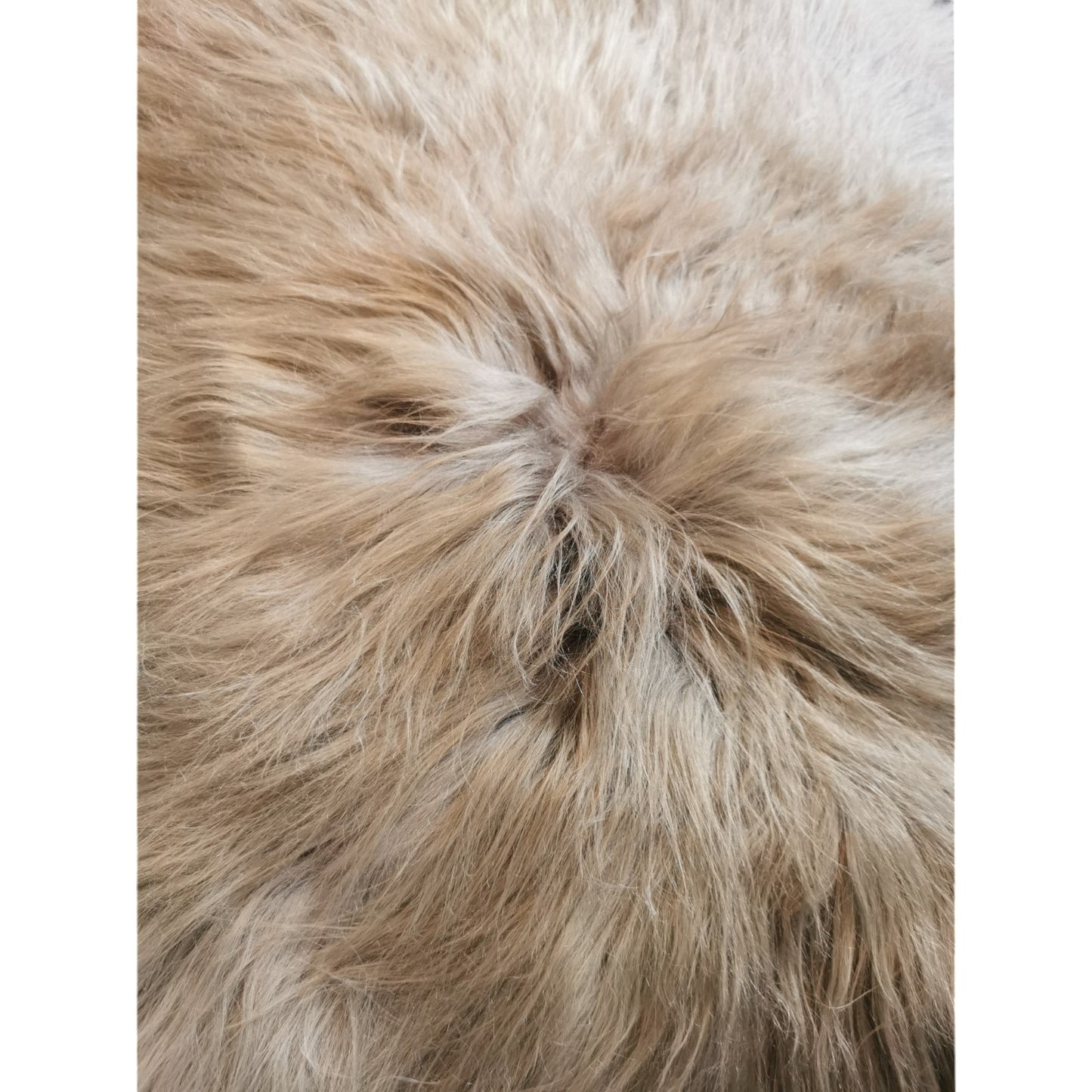 TOP Schaffell | 140cm | Echtes Lammfell |Teppich Deko | Taupe | Sitzauflage