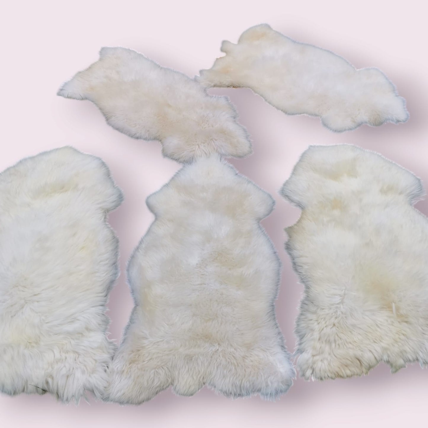 100-110cm Große Schaffelle, Bio Lammfell, Echt Fell, Natur-Weiß, Neu Schafsfell