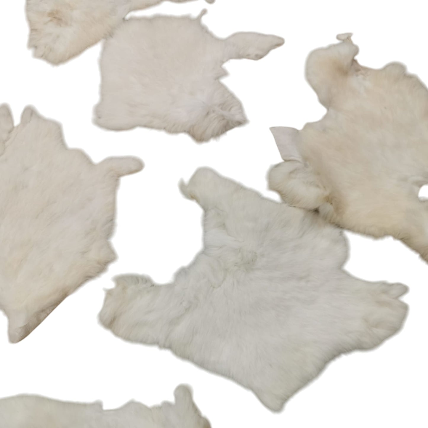 Rabbit furs in natural colors | Hare furs | Second-choice furs | B-grade | Leather