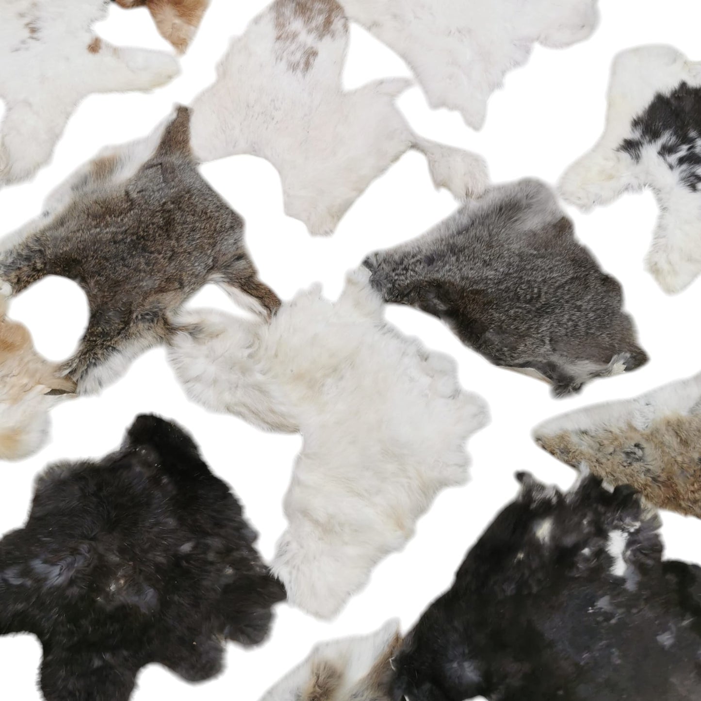 Rabbit furs in natural colors | Hare furs | Second-choice furs | B-grade | Leather