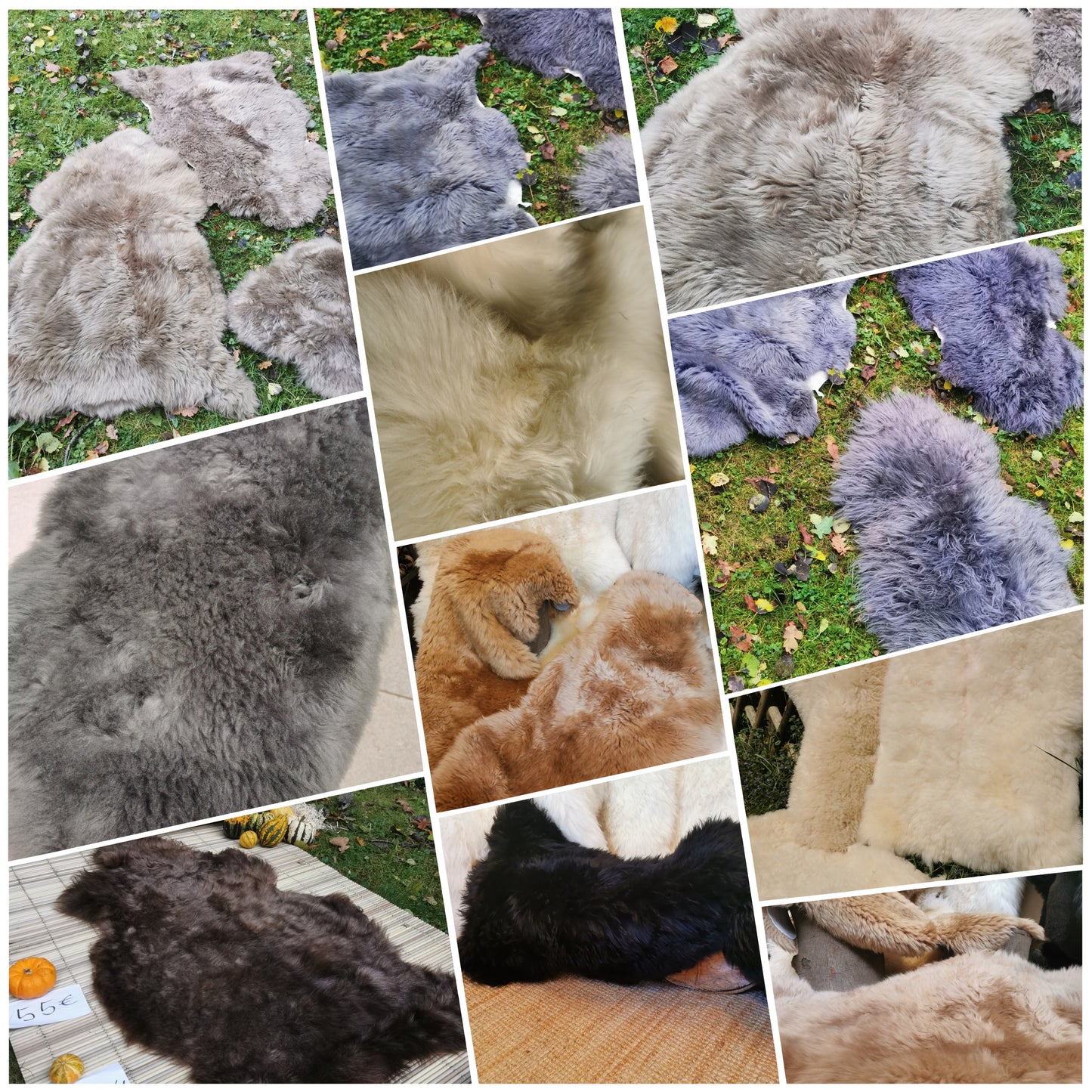 Schaffelle in vielen Farben und Größen. Lammfell-Teppiche