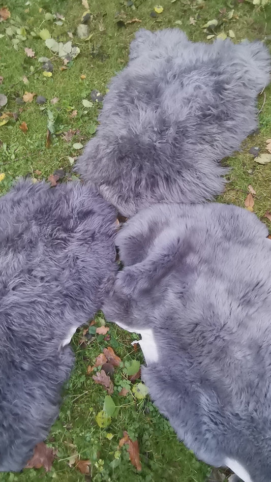 XXL Merino Premium Felle in Grau dichter Wolle