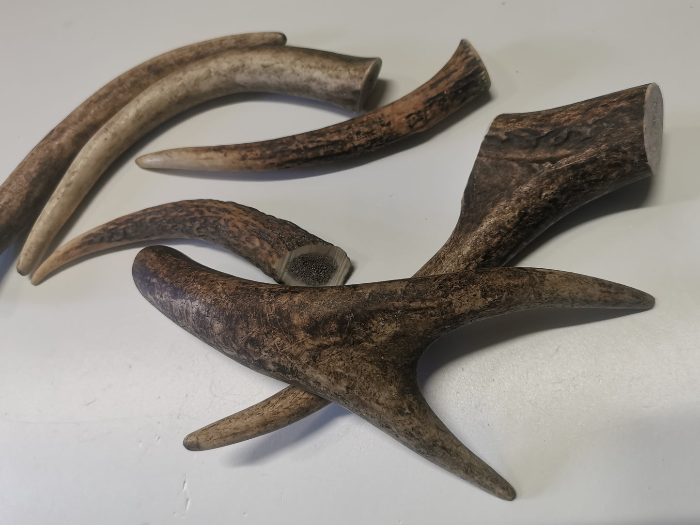 Dog bones, red deer antler, dog snack, healthy dog ​​treats, natural ingredients, long-lasting chewing fun, dental cleaning, calcium, protein