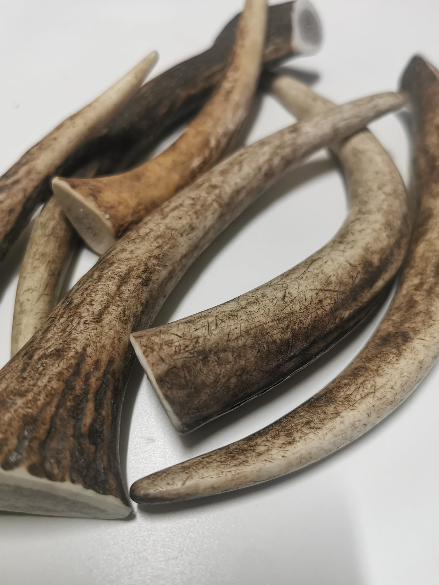 Dog bones, red deer antler, dog snack, healthy dog ​​treats, natural ingredients, long-lasting chewing fun, dental cleaning, calcium, protein