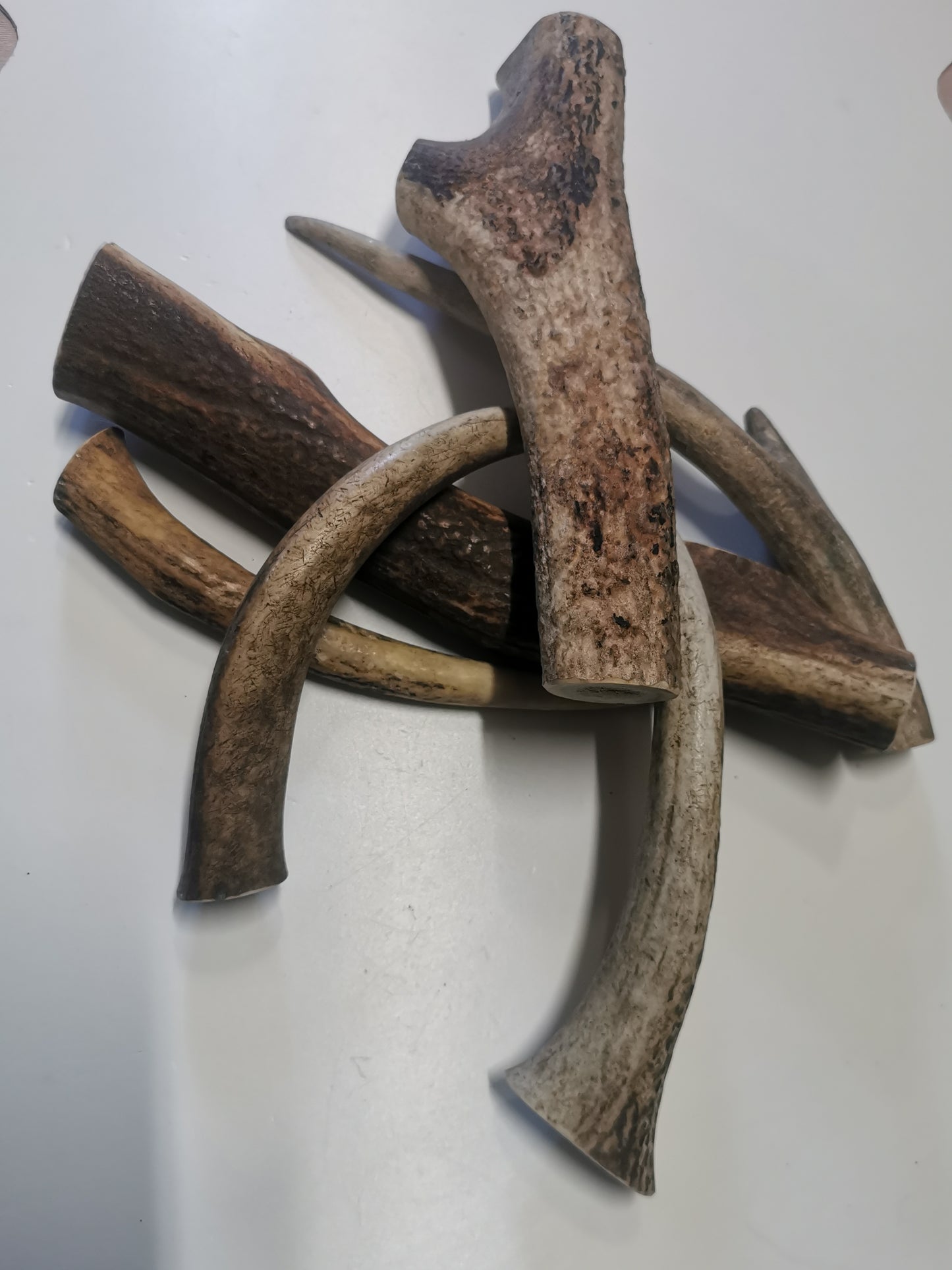 Dog bones, red deer antler, dog snack, healthy dog ​​treats, natural ingredients, long-lasting chewing fun, dental cleaning, calcium, protein