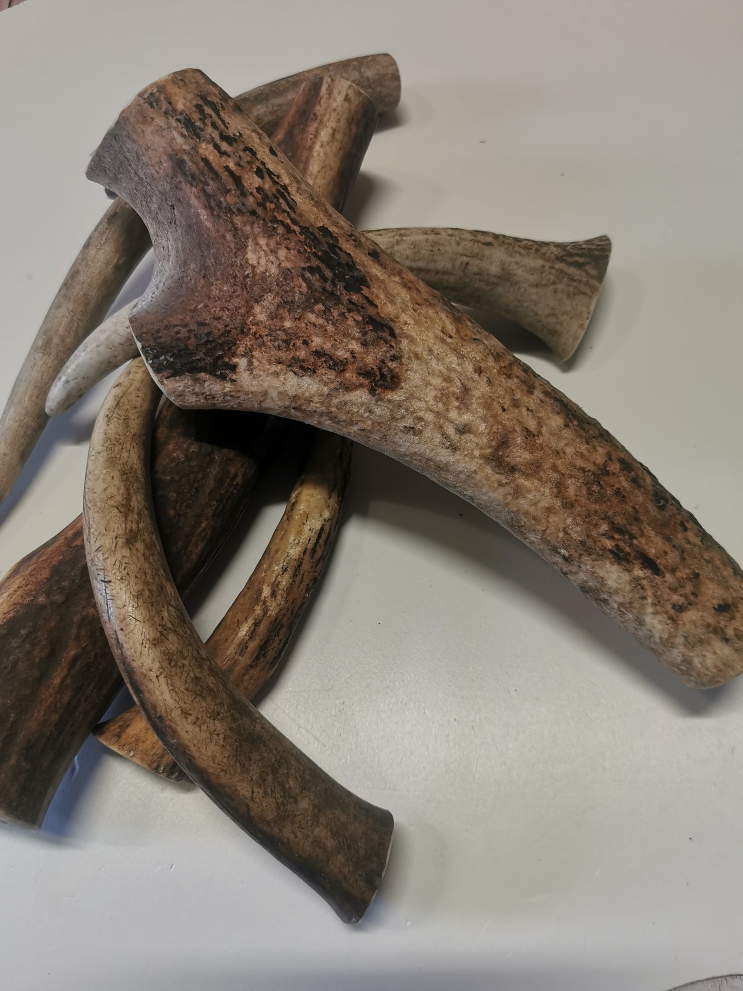 Dog bones, red deer antler, dog snack, healthy dog ​​treats, natural ingredients, long-lasting chewing fun, dental cleaning, calcium, protein