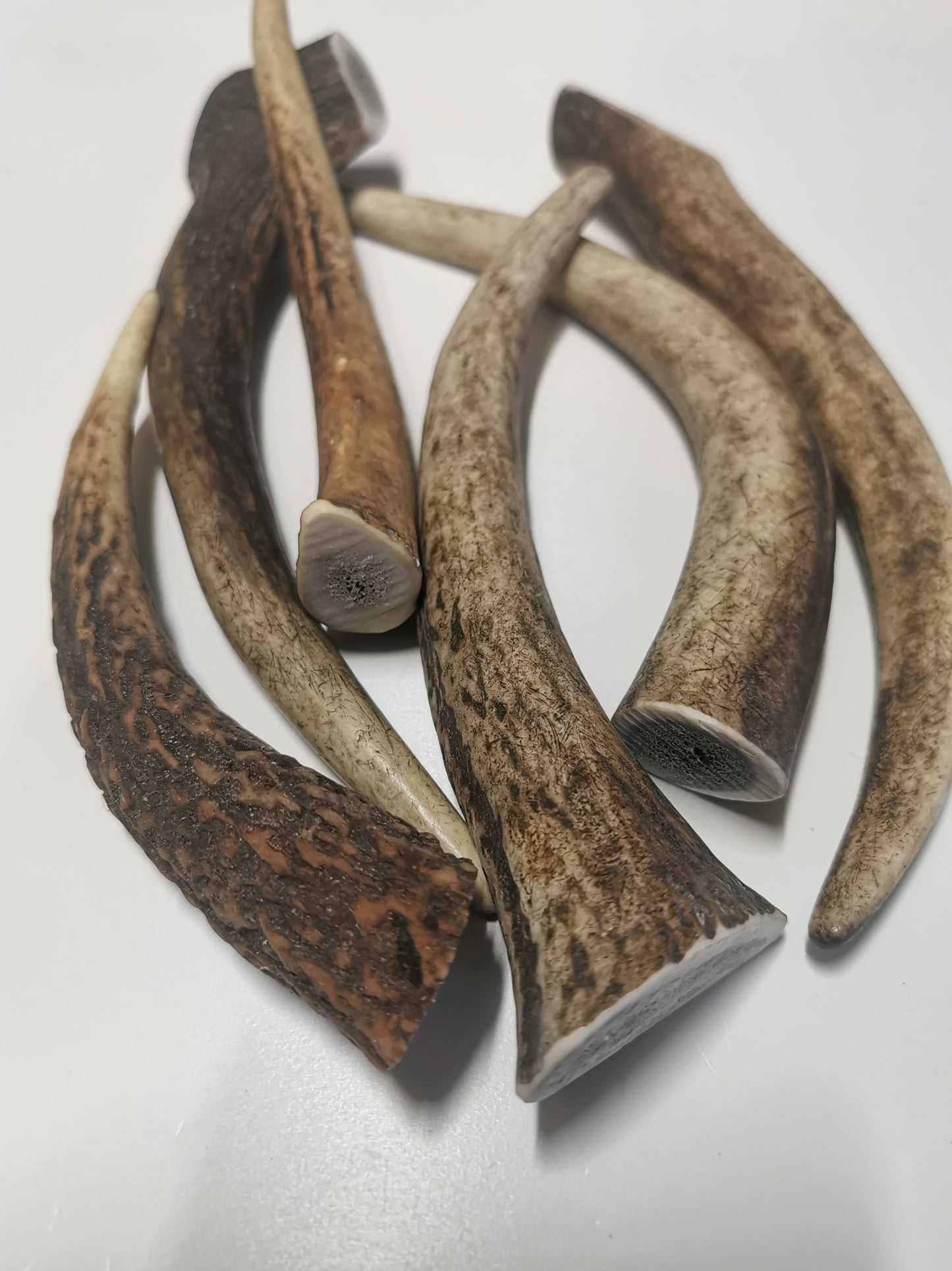 Dog bones, red deer antler, dog snack, healthy dog ​​treats, natural ingredients, long-lasting chewing fun, dental cleaning, calcium, protein