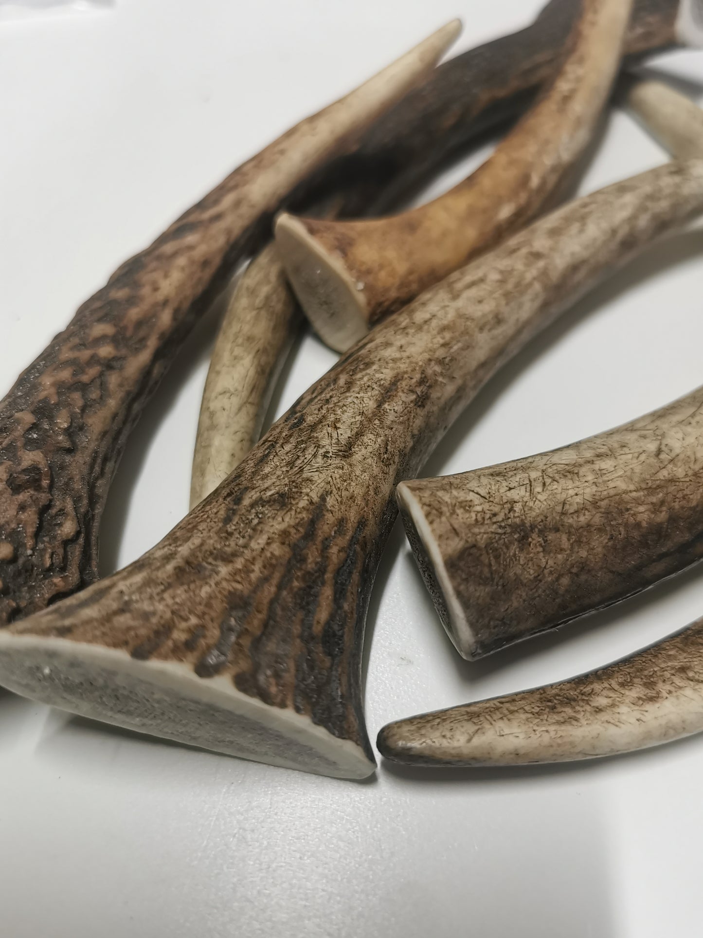 Dog bones, red deer antler, dog snack, healthy dog ​​treats, natural ingredients, long-lasting chewing fun, dental cleaning, calcium, protein