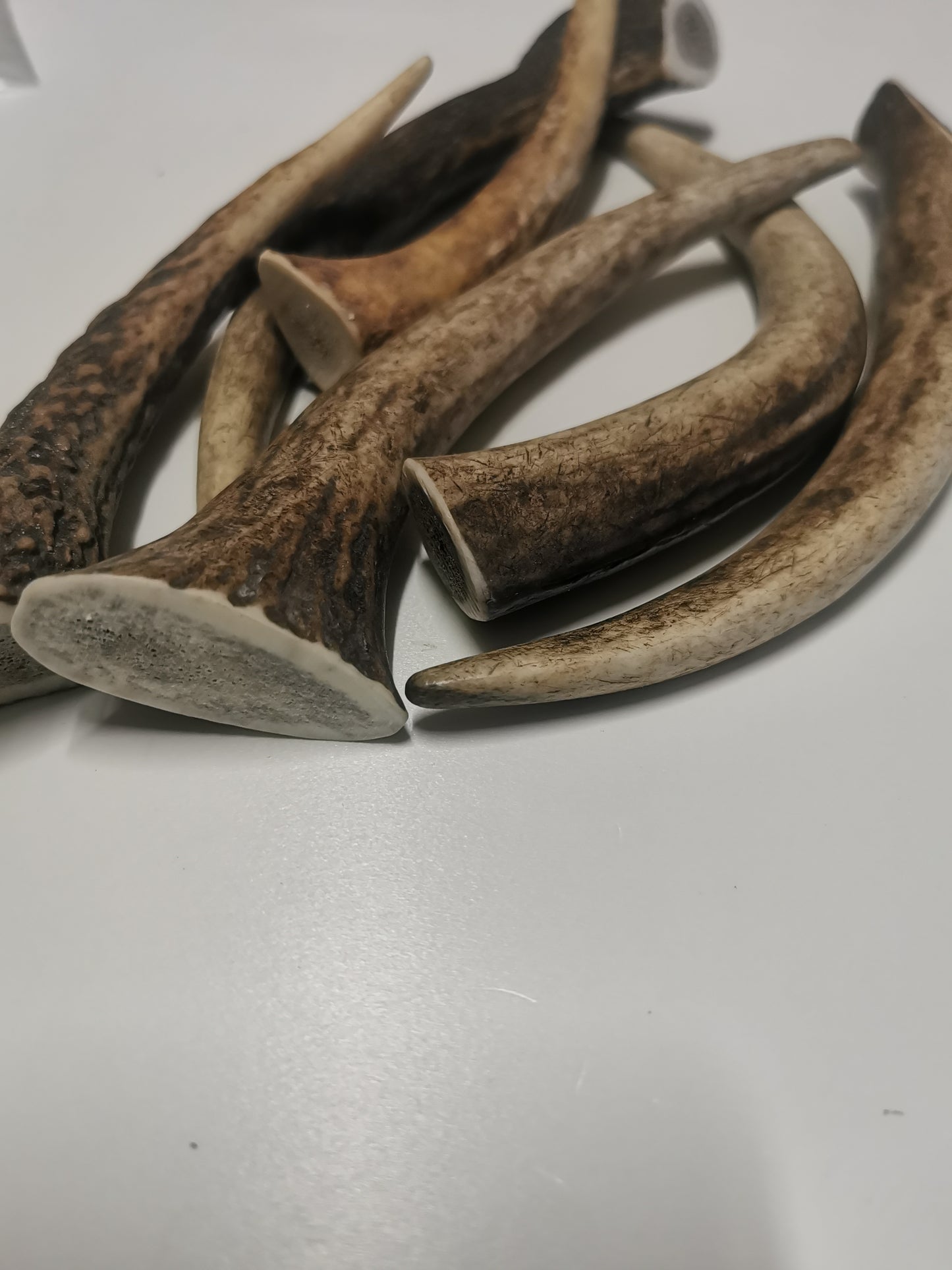 Dog bones, red deer antler, dog snack, healthy dog ​​treats, natural ingredients, long-lasting chewing fun, dental cleaning, calcium, protein