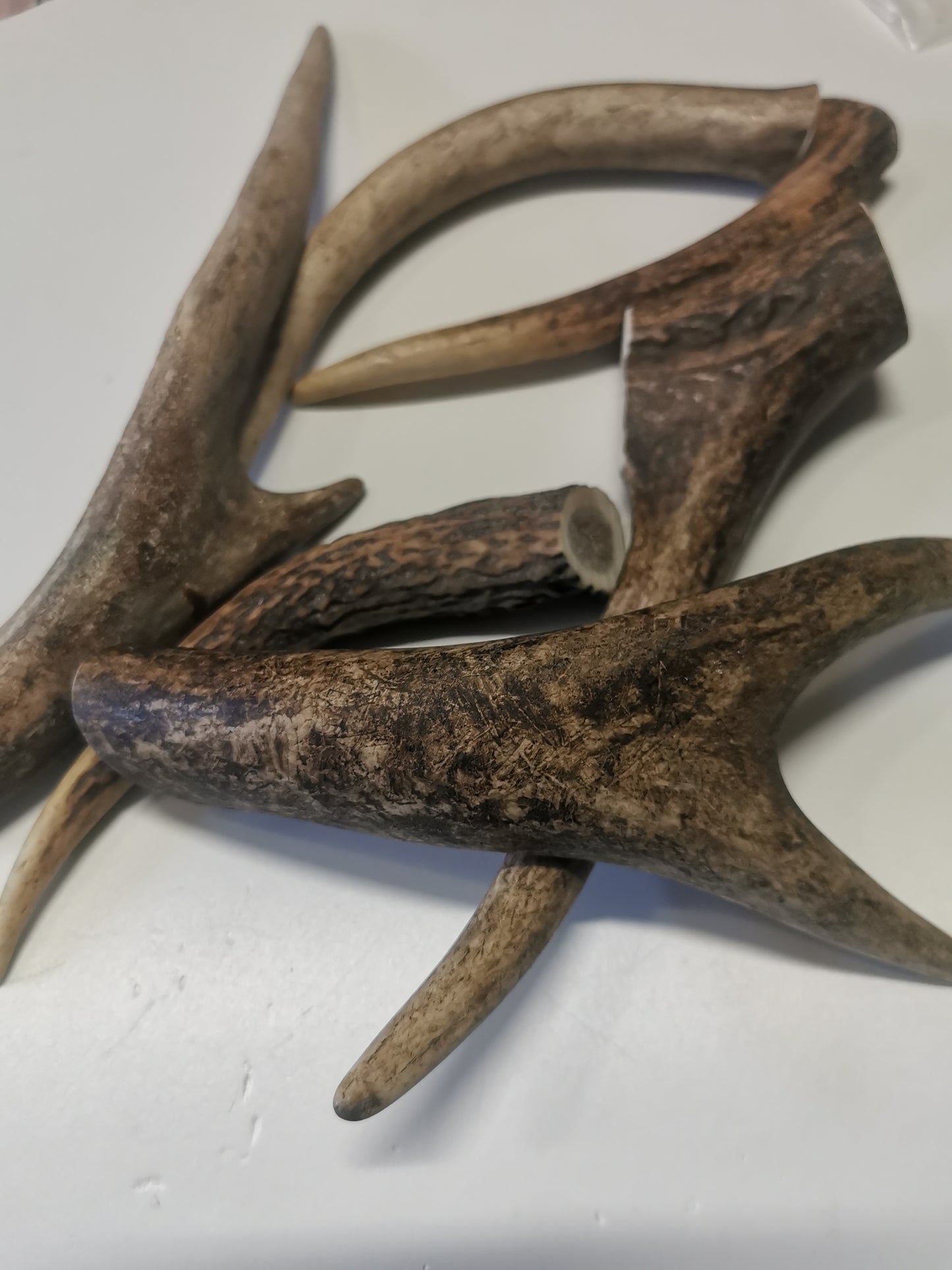 Dog bones, red deer antler, dog snack, healthy dog ​​treats, natural ingredients, long-lasting chewing fun, dental cleaning, calcium, protein