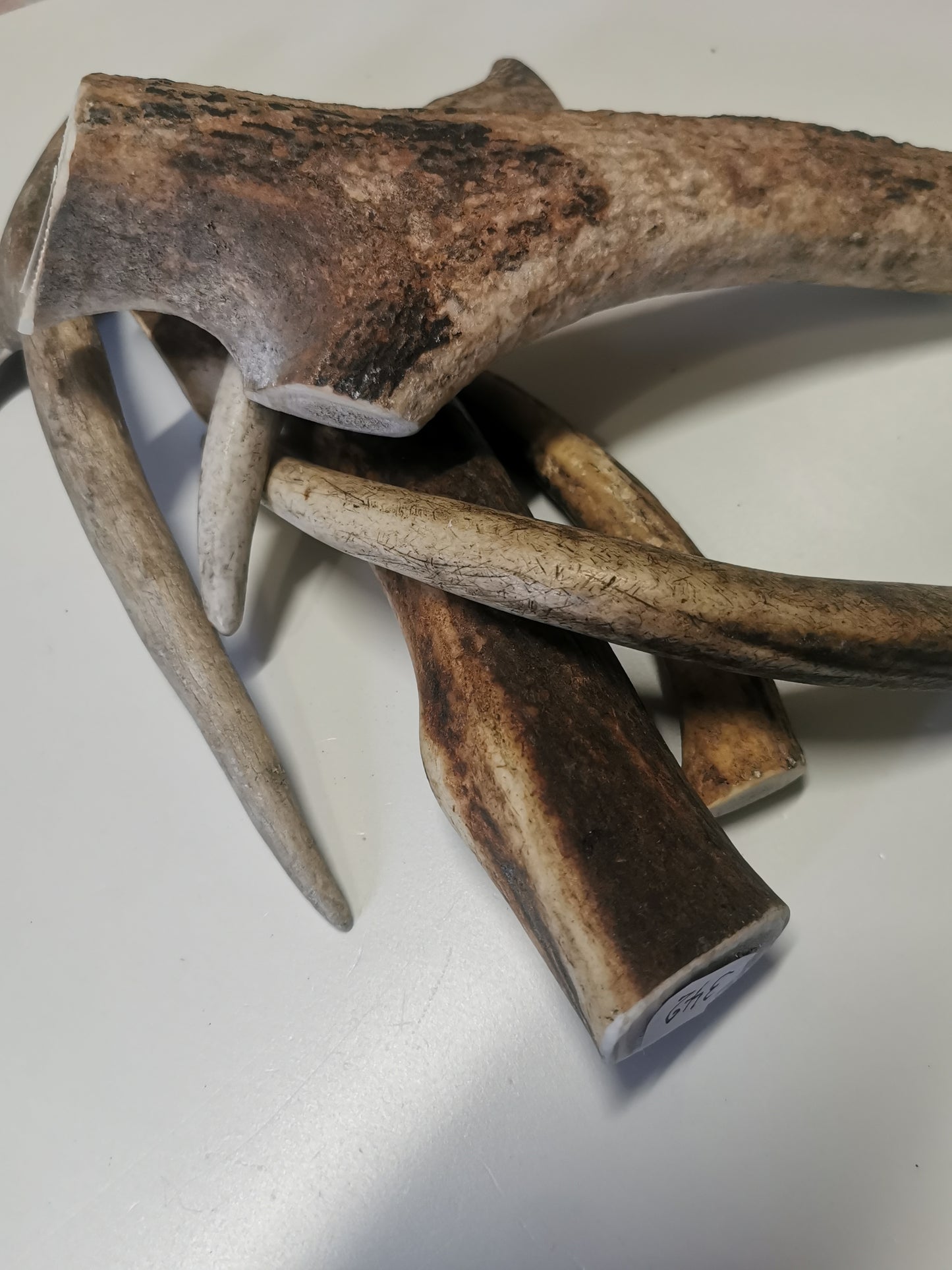 Dog bones, red deer antler, dog snack, healthy dog ​​treats, natural ingredients, long-lasting chewing fun, dental cleaning, calcium, protein