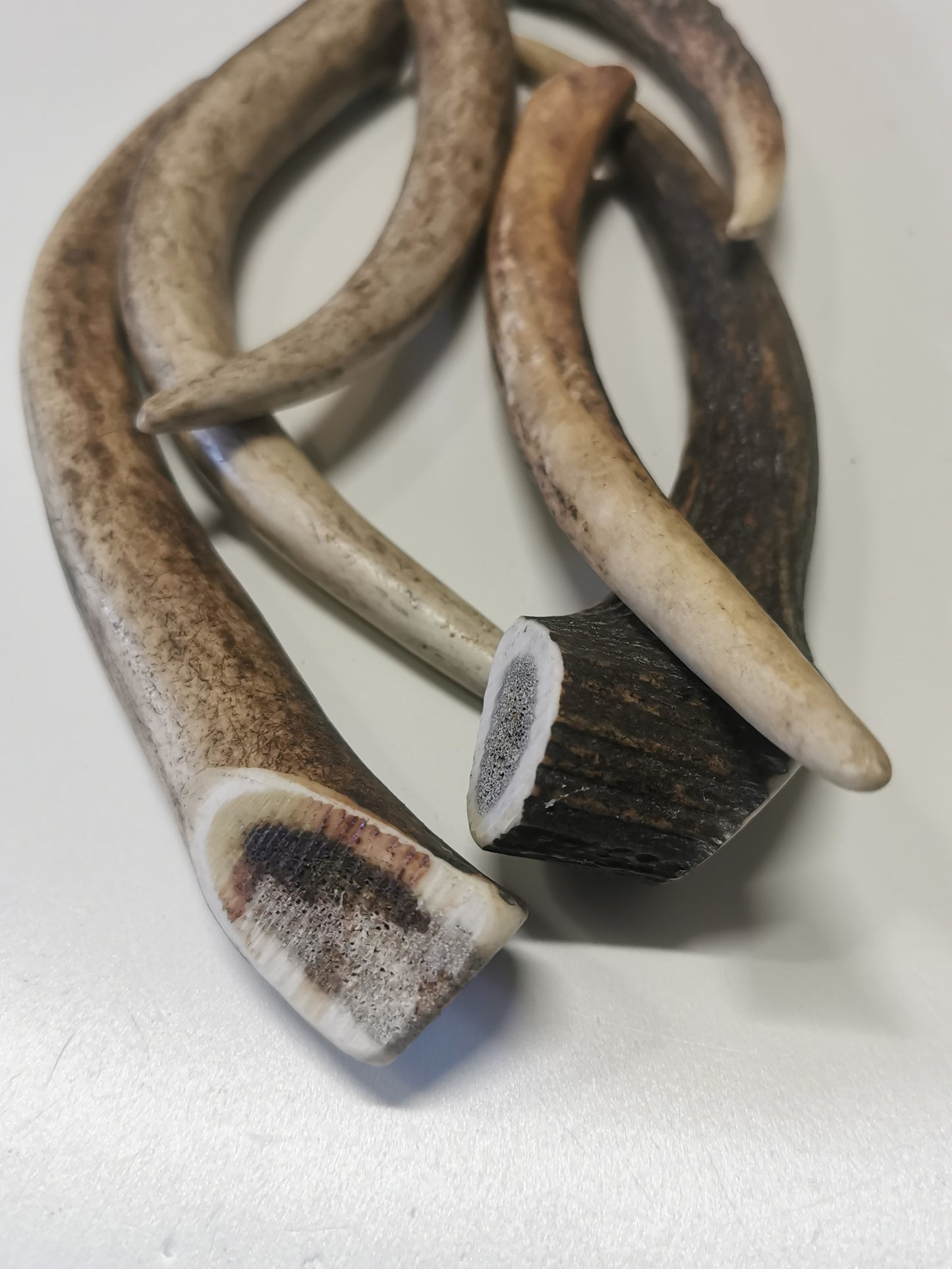 Dog bones, red deer antler, dog snack, healthy dog ​​treats, natural ingredients, long-lasting chewing fun, dental cleaning, calcium, protein