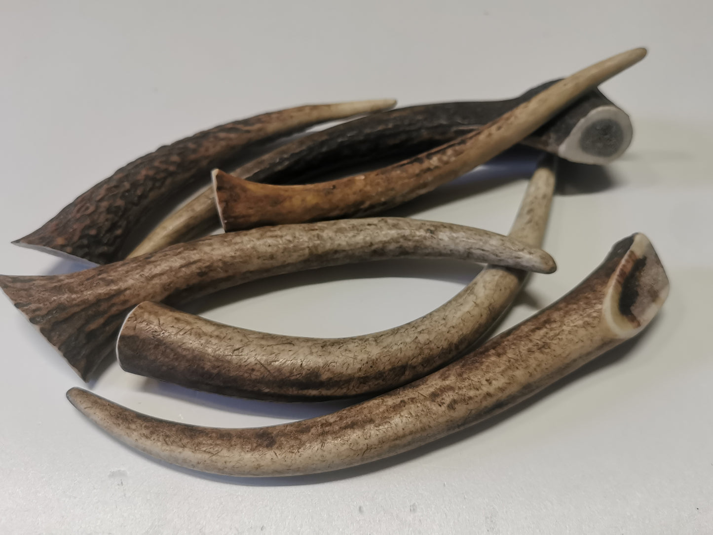 Dog bones, red deer antler, dog snack, healthy dog ​​treats, natural ingredients, long-lasting chewing fun, dental cleaning, calcium, protein