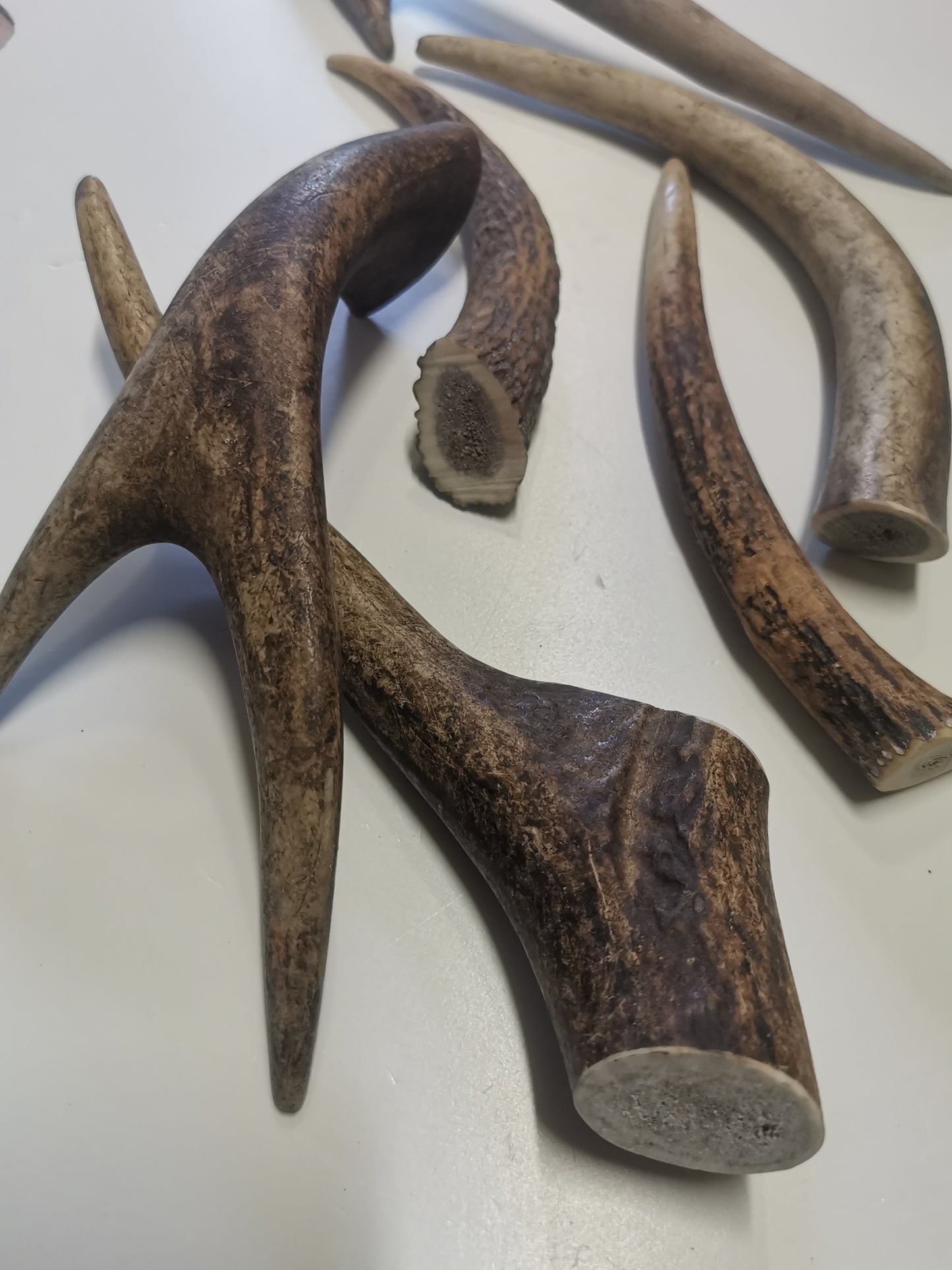 Dog bones, red deer antler, dog snack, healthy dog ​​treats, natural ingredients, long-lasting chewing fun, dental cleaning, calcium, protein
