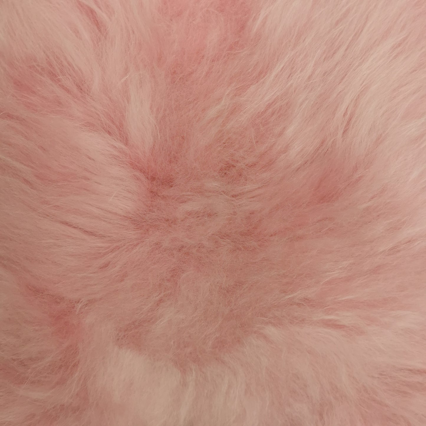BUNTE Schaffell | Rosa | Echtes Lammfell |Teppich Deko | 120cm | Sitzauflage