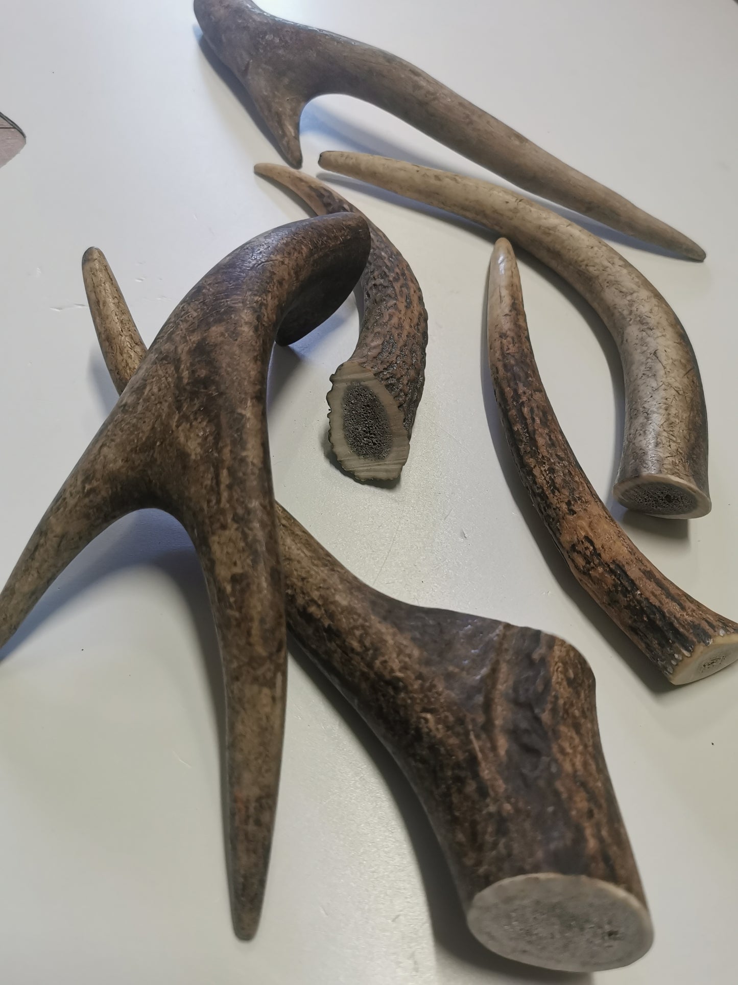 Dog bones, red deer antler, dog snack, healthy dog ​​treats, natural ingredients, long-lasting chewing fun, dental cleaning, calcium, protein